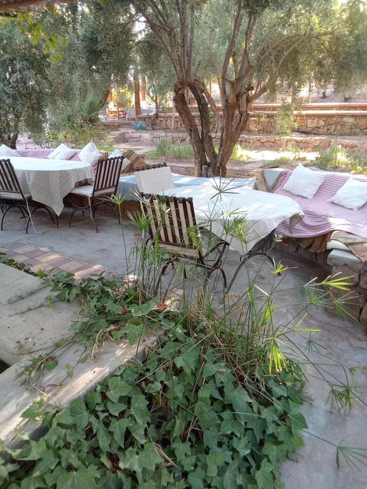 Hotel Kasbah Timdaf Demnate Zewnętrze zdjęcie