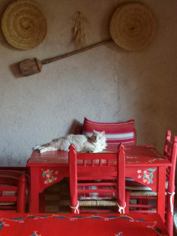 Hotel Kasbah Timdaf Demnate Zewnętrze zdjęcie